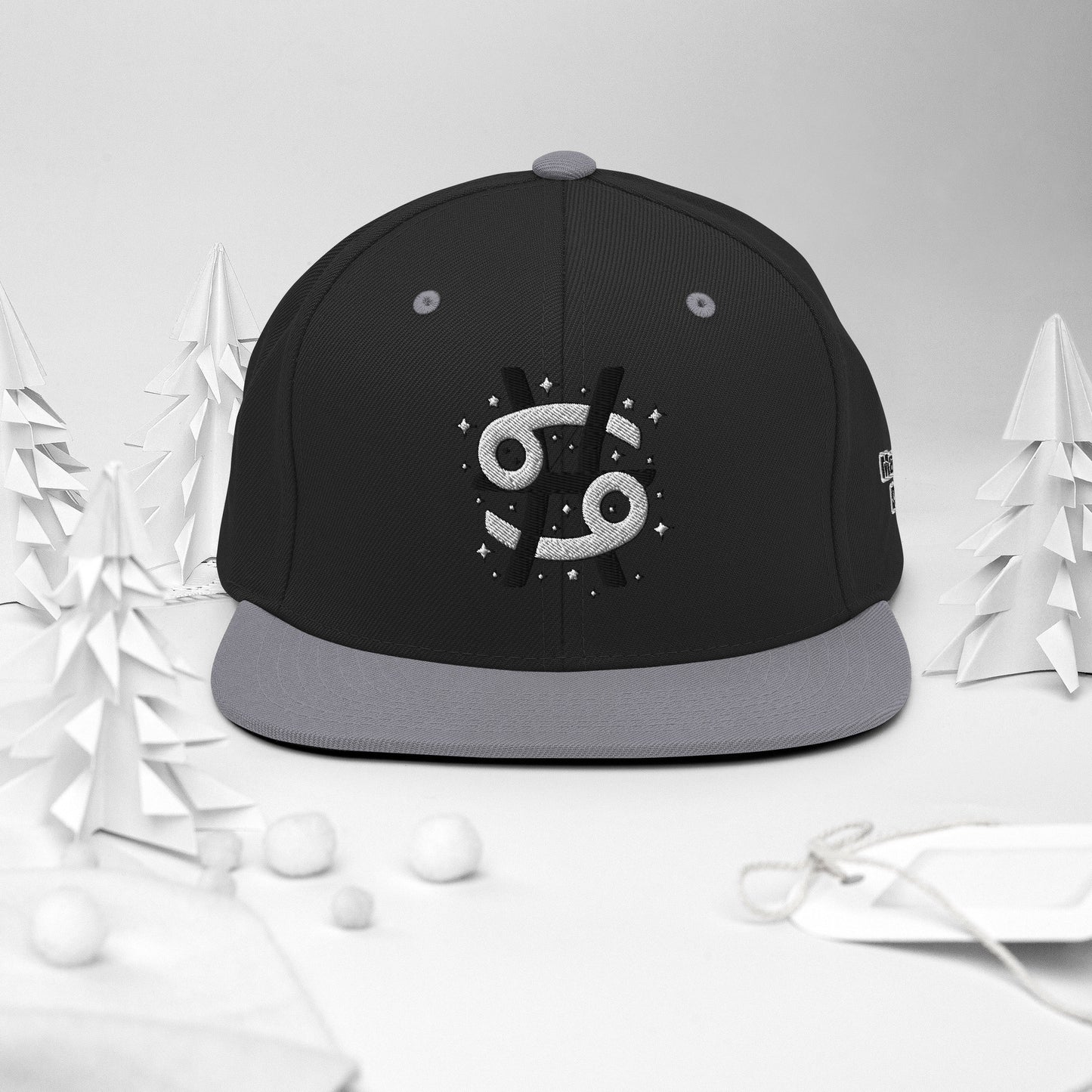 Gemini/Pisces Zodiac Snapback Hat
