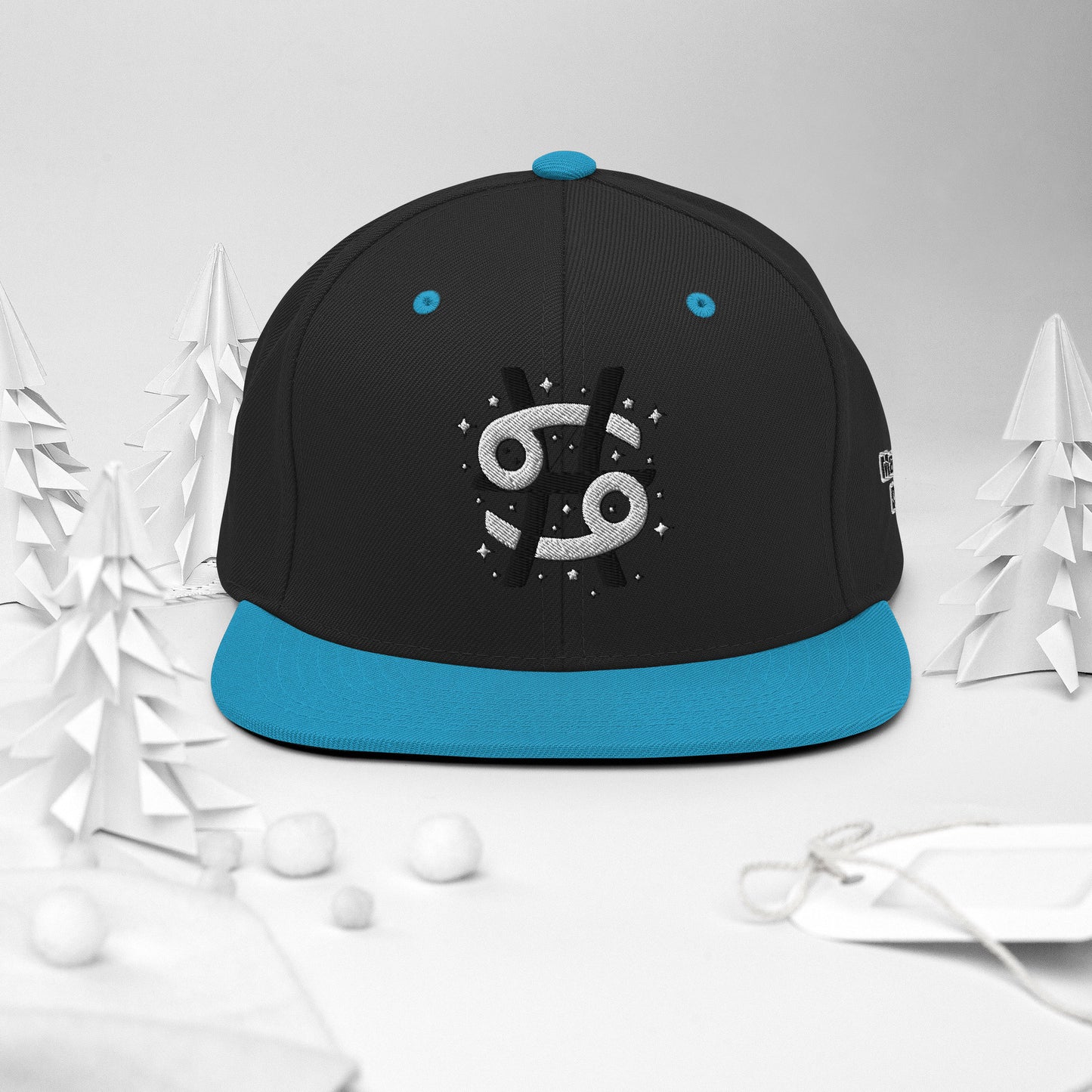 Gemini/Pisces Zodiac Snapback Hat